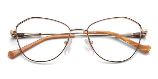 swan cat eye brown gold eyeglasses frames top view