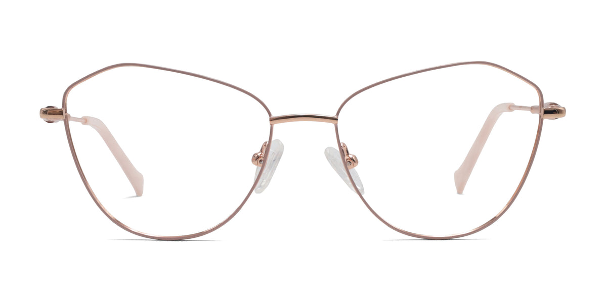 swan eyeglasses frames front view 