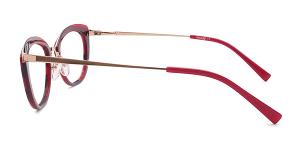 xany cat-eye red eyeglasses frames side view
