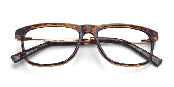 zion rectangle tortoise gold eyeglasses frames top view