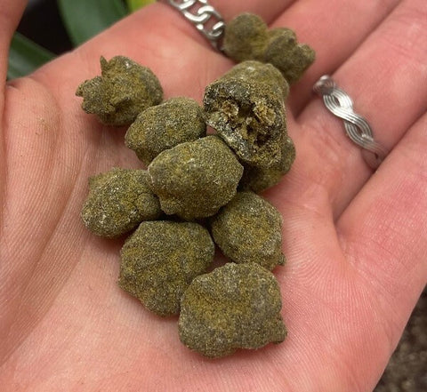 BonorumCBD CBD Hasch & Pollinate | Moon Rocks kaufen