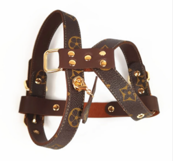 G Logo Dog Harness with Leash / S – My Perfect Mood