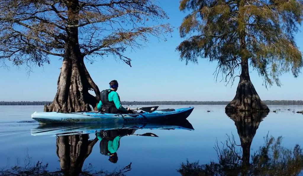 Kayaking on Chesapeake Bay with blue water and trees in the background