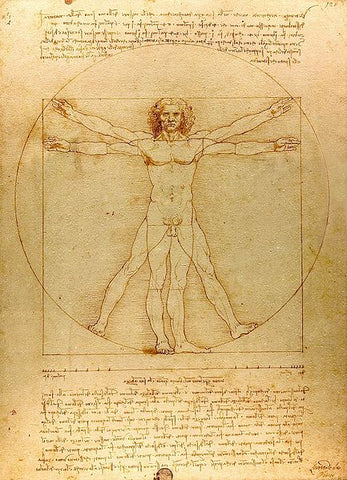 รูป Vitruvian man กายวิภาคศาสตร์ของมนุษย์
