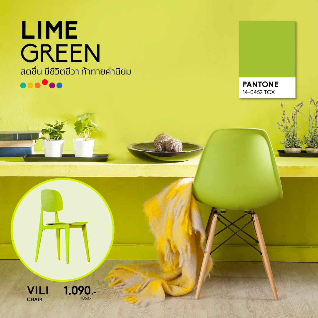 Lime Green เก้าอี้สีเขียว