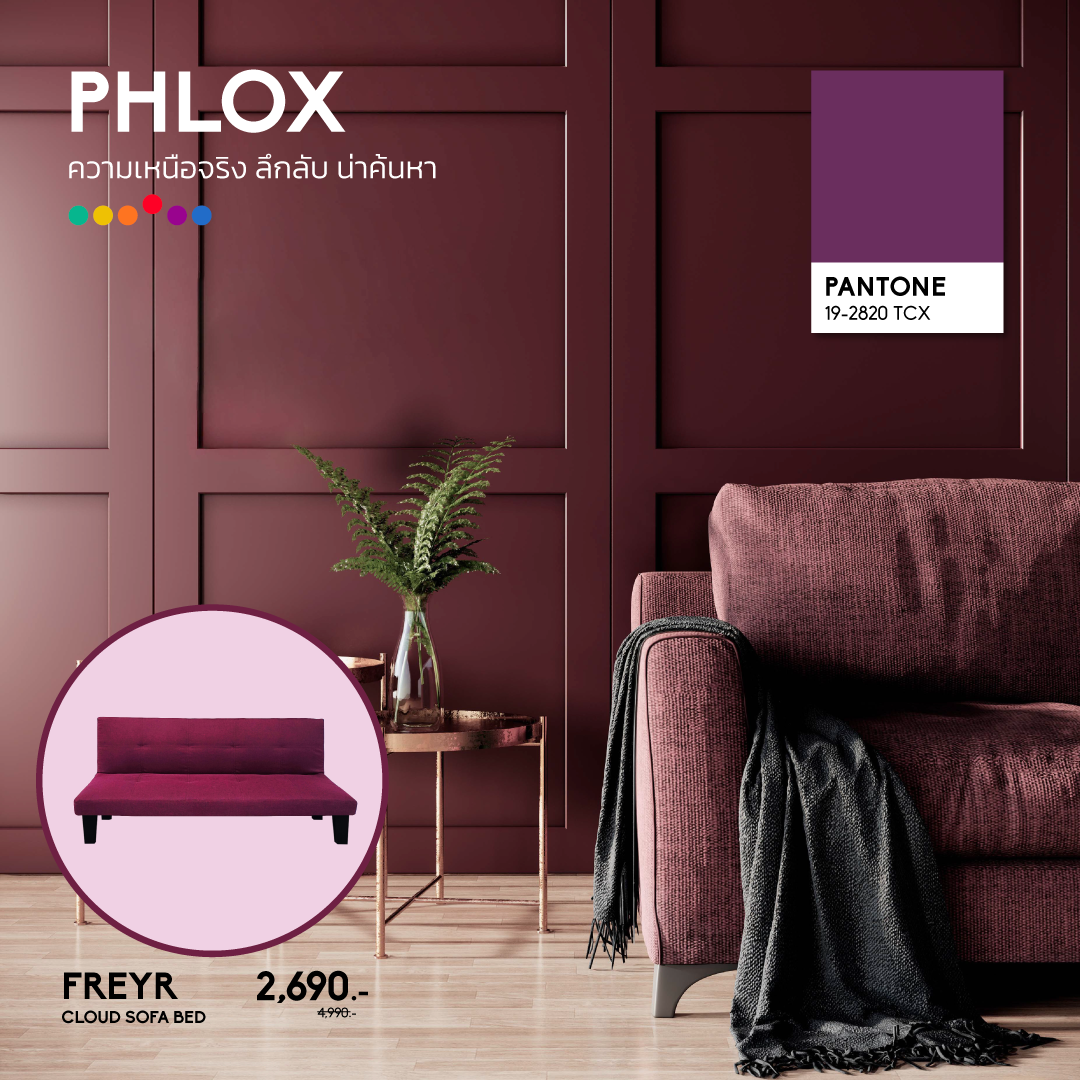 Phlox โซฟาสีม่วง