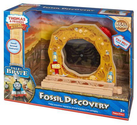 Thomas Fossil Discovery