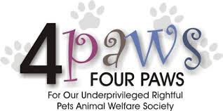 4paws fourpaws From Pets Planet - South Africa’s No.1 ePet Store for premium pet products & online pet shopping for the best pet store near me for products like dog bowls, slow feeder, pet slow feeder, pet slow feeder bowl, pet slow feeding bowl, dog slow feeder, dog slow feeder bowl, dog slow feeding bowl, lickimat, dog beds, dog bed, dog beds on sale, takealot dog bed, dog bed takealot, washable dog bed, fluffy dog bed, calming dog bed, relaxing dog bed, anxiety dog bed, donut dog bed, iremia dog bed, pet bed, dog collar, pet collar, dog leash, pet leash, dog harness, dog harnesses, curly harness, curly dog harness, from a pet store Olivedale, pet store Bryanston, Pet Store Johannesburg, Pet store joburg, Pet Store Cape Town