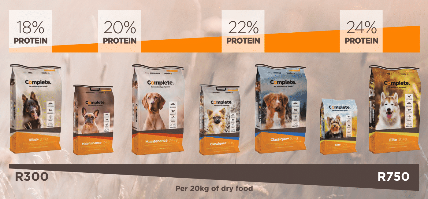 South Africa’s Best Online Pet Store for premium pet products, best pet store near me, Dog food, pet food, dog wet food, dog bed, dog beds, washable dog bed, takealot dog bed, Complete Pet Nutrition, Complete pet nutrition dog food, hills dog food, optimizor dog food, royal canin dog food, jock dog food, bobtail dog food, canine cuisine, acana dog food, best dog food, dog food near me, best dog food brands