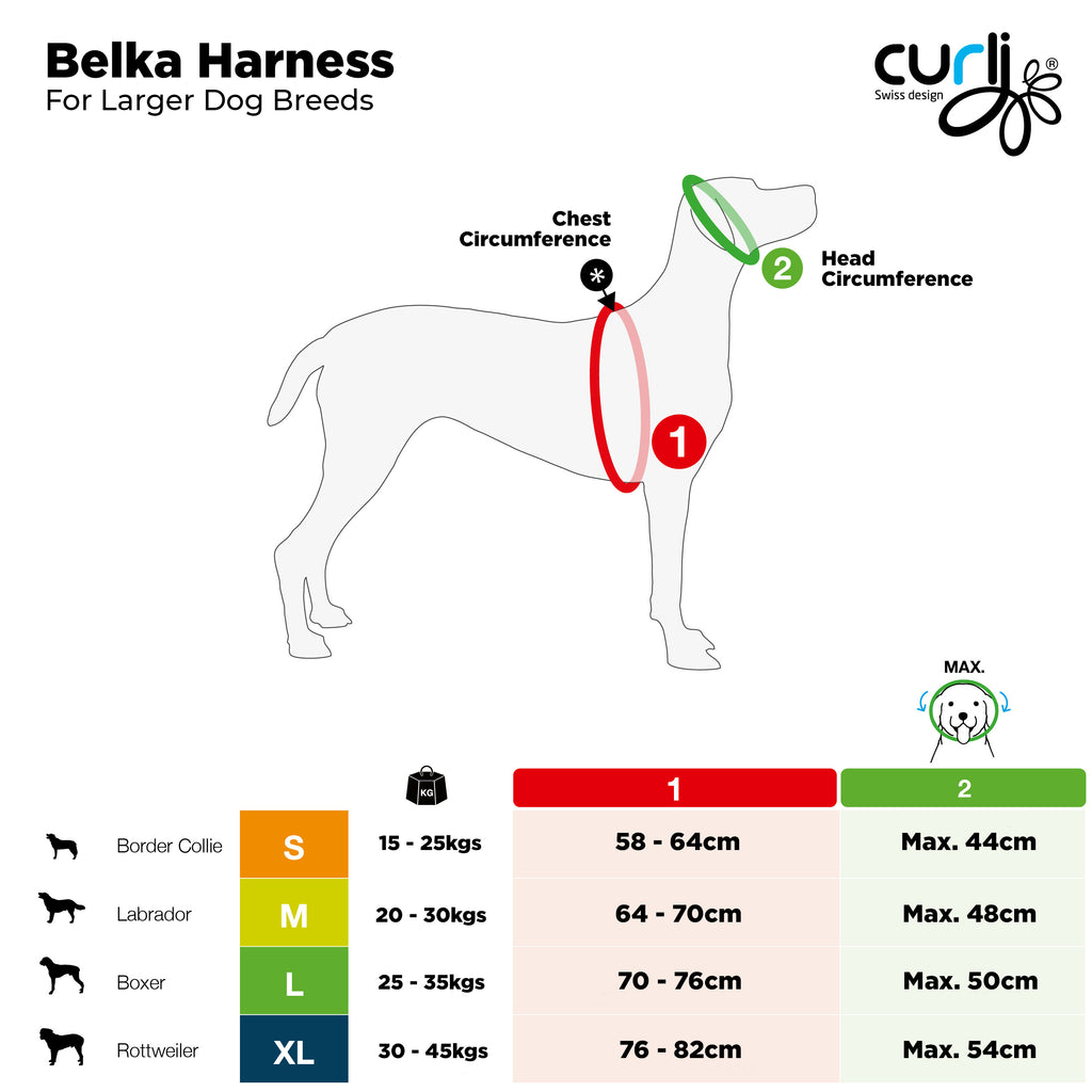 Curli Belka Harness From Pets Planet - South Africa’s No.1 ePet Store for premium pet products & online pet shopping for the best pet store near me for products like dog bowls, slow feeder, pet slow feeder, pet slow feeder bowl, pet slow feeding bowl, dog slow feeder, dog slow feeder bowl, dog slow feeding bowl, lickimat, dog beds, dog bed, dog beds on sale, takealot dog bed, dog bed takealot, washable dog bed, fluffy dog bed, calming dog bed, relaxing dog bed, anxiety dog bed, donut dog bed, iremia dog bed, pet bed, dog collar, pet collar, dog leash, pet leash, dog harness, dog harnesses, curly harness, curly dog harness, from a pet store Olivedale, pet store Bryanston, Pet Store Johannesburg, Pet store joburg, Pet Store Cape Town