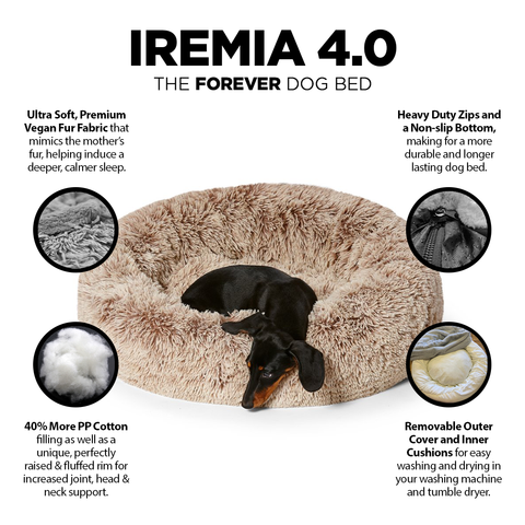 IREMIA Dog Bed 4.0 Benefits Image From Pets Planet - South Africa’s No.1 ePet Store for premium pet products & online pet shopping for the best pet store near me for products like dog bowls, slow feeder, pet slow feeder, pet slow feeder bowl, pet slow feeding bowl, dog slow feeder, dog slow feeder bowl, dog slow feeding bowl, lickimat, dog beds, dog bed, dog beds on sale, takealot dog bed, dog bed takealot, washable dog bed, fluffy dog bed, calming dog bed, relaxing dog bed, anxiety dog bed, donut dog bed, iremia dog bed, pet bed, dog collar, pet collar, dog leash, pet leash, dog harness, dog harnesses, curly harness, curly dog harness, from a pet store Olivedale, pet store Bryanston, Pet Store Johannesburg, Pet store joburg, Pet Store Cape Town
