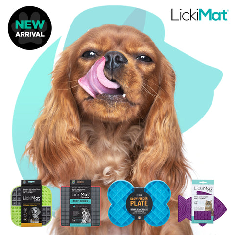 LickiMat Collection Image From Pets Planet - South Africa’s No.1 ePet Store for premium pet products & online pet shopping for the best pet store near me for products like dog bowls, slow feeder, pet slow feeder, pet slow feeder bowl, pet slow feeding bowl, dog slow feeder, dog slow feeder bowl, dog slow feeding bowl, lickimat, dog beds, dog bed, dog beds on sale, takealot dog bed, dog bed takealot, washable dog bed, fluffy dog bed, calming dog bed, relaxing dog bed, anxiety dog bed, donut dog bed, iremia dog bed, pet bed, dog collar, pet collar, dog leash, pet leash, dog harness, dog harnesses, curly harness, curly dog harness, from a pet store Olivedale, pet store Bryanston, Pet Store Johannesburg, Pet store joburg, Pet Store Cape Town