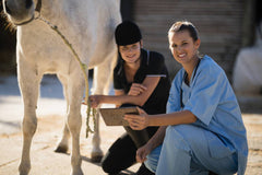 Veterinarian in blue scrubs and a horse owner engage in a friendly discussion while reviewing the horse's health records and treatment plan on a clipboard, with a content horse in the background.