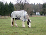 Graceful white horse wearing a protective fly sheet, peacefully grazing on lush green grass under the crisp, cool autumn sky. The horse's lower legs feature stunning, long white hair, adding to its majestic presence