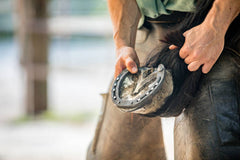 Horse's Hoof with Custom-Fitted Shoe: Crafted by a Skilled Farrier for Optimal Support