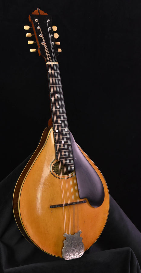 lyon healy mandolin style b