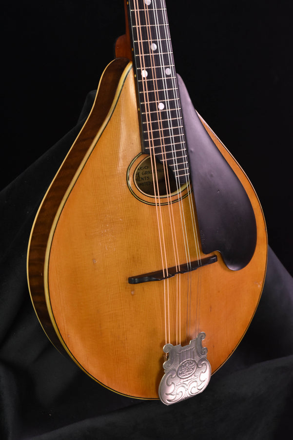 lyon healy mandolin style c