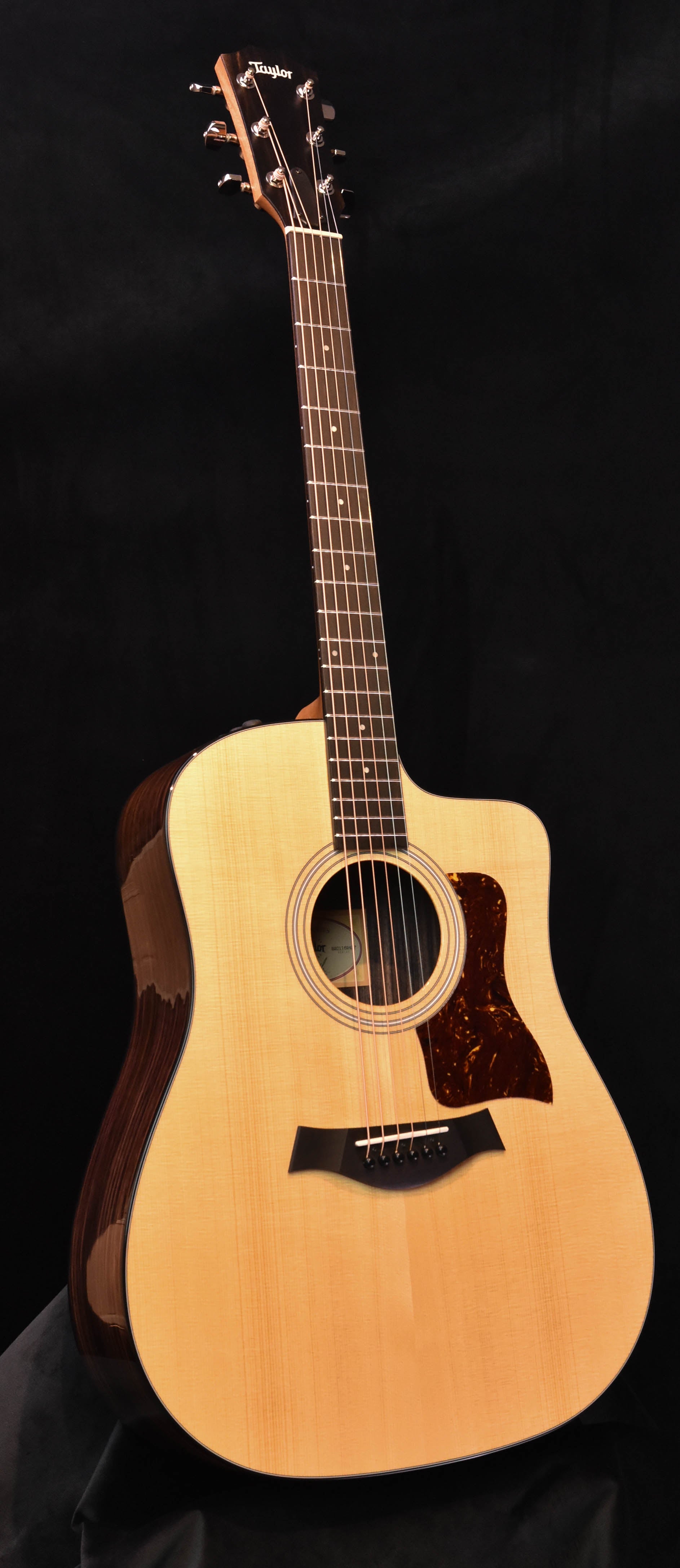 taylor dreadnought cutaway