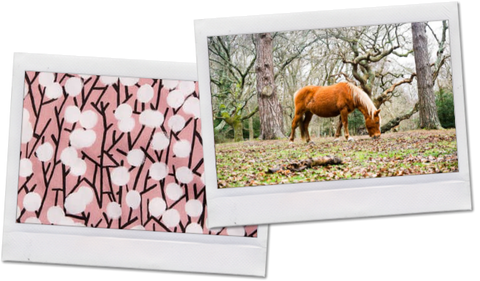 Horse grazing in the New forest and Yawn's pink hideaway print