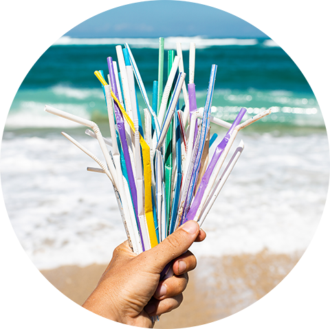 https://cdn.shopify.com/s/files/1/0504/0059/2044/files/plastic-straw-trash-on-the-beach-choose-to-reuse-save-the-oceans-and-turtles_480x480.png?v=1612447448