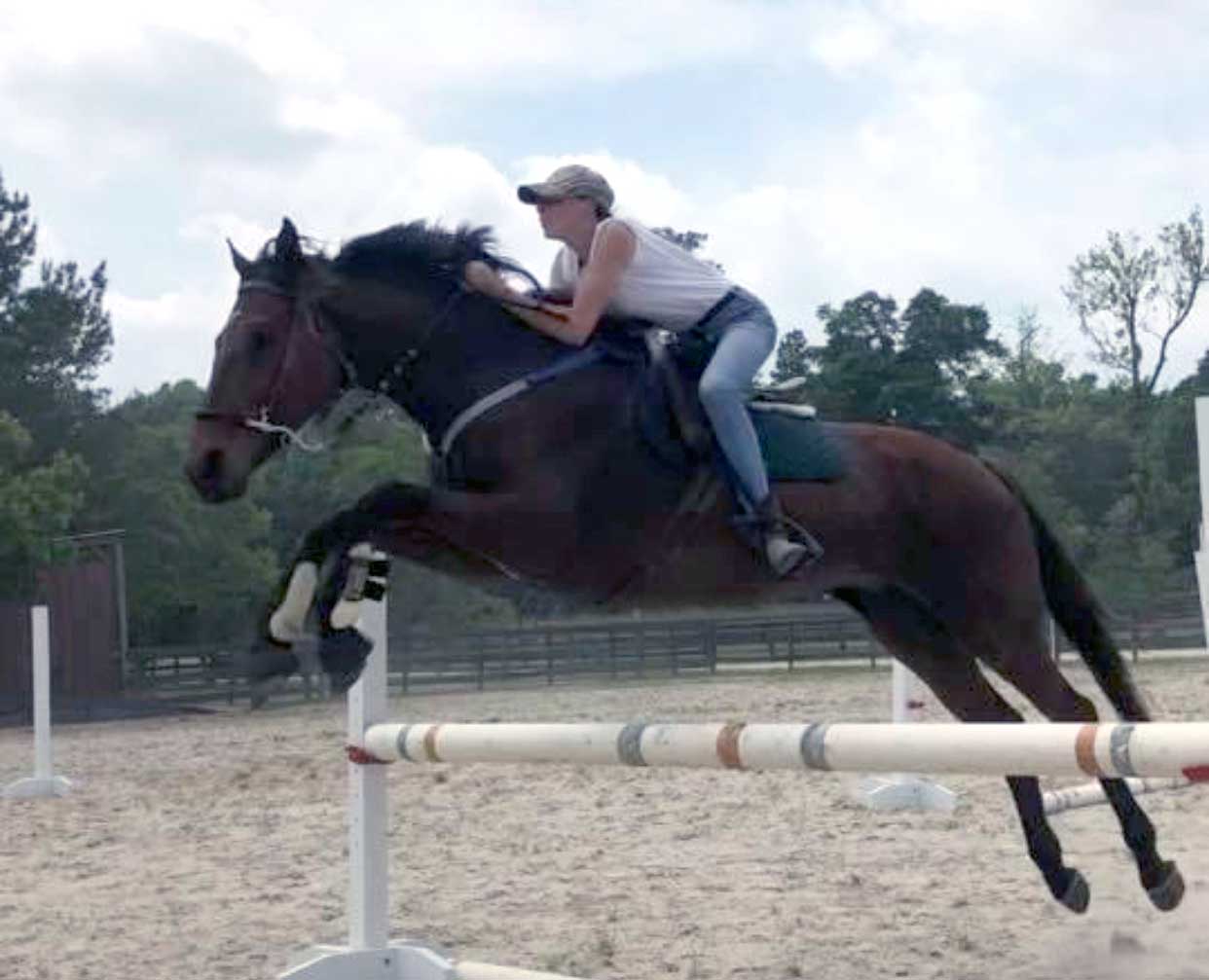 Splendor Farms Horse Boarding Leap