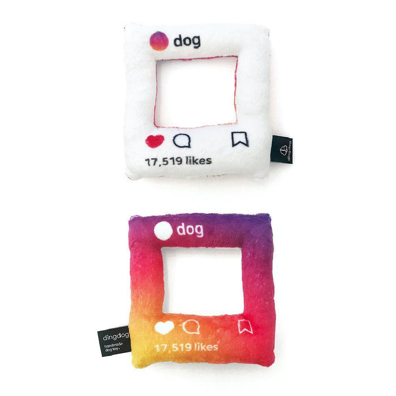 【Dingdog】Instagram Photo Frame Dog Toy - A Pawfect Place