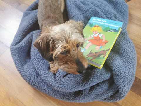 fritzi und das Bummi Buch