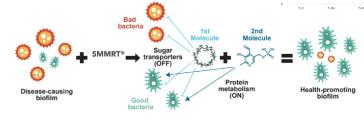 SMMRT Diagram.png__PID:6be0aa79-578c-4453-b89a-89556150c81e