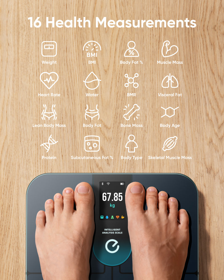  Counto Smart Scale, Digital Bathroom Scale Bmi Body Fat, Counto  Smart Scale 12 Measurements, Rechargeable Smart Bluetooth Body Fat  Scalehelp You Keep Track of Your Health (B) : Health & Household