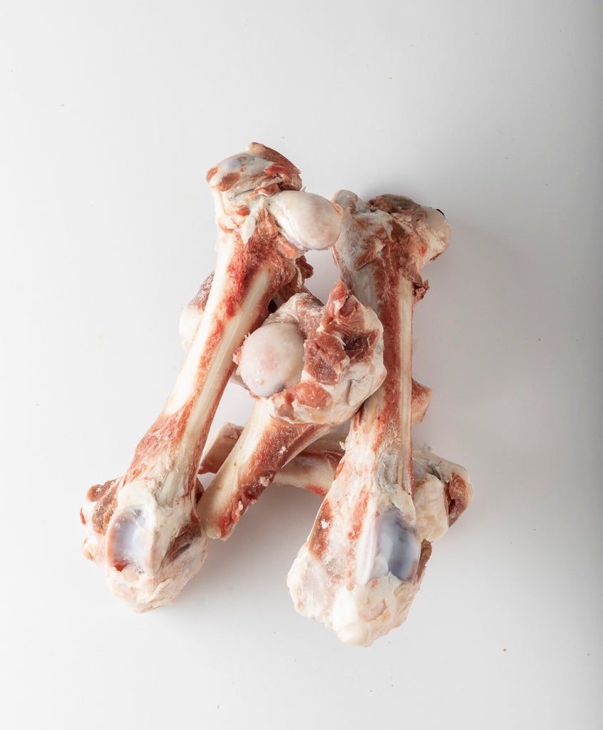 are lamb shank bones safe for dogs