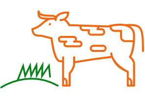  Grass-fed, finished Icon 