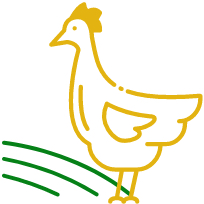  free range Icon 