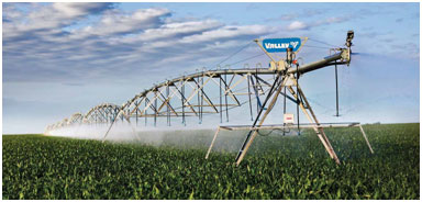 Broad Lateral Irrigation