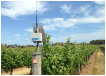 telemetric monitoring in viticulture