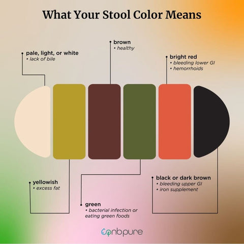 What your stool color means chart
