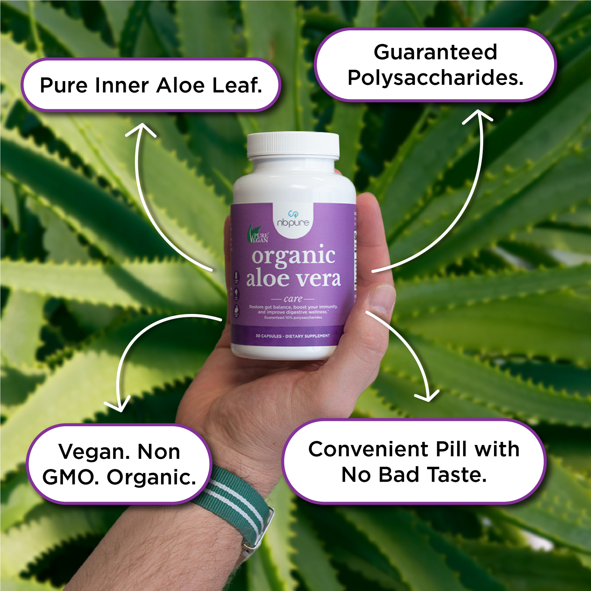 Gecomprimeerd Academie Mogelijk Pure Organic Aloe Vera Capsules for Skin, Hair, & Antioxidants - NBPure