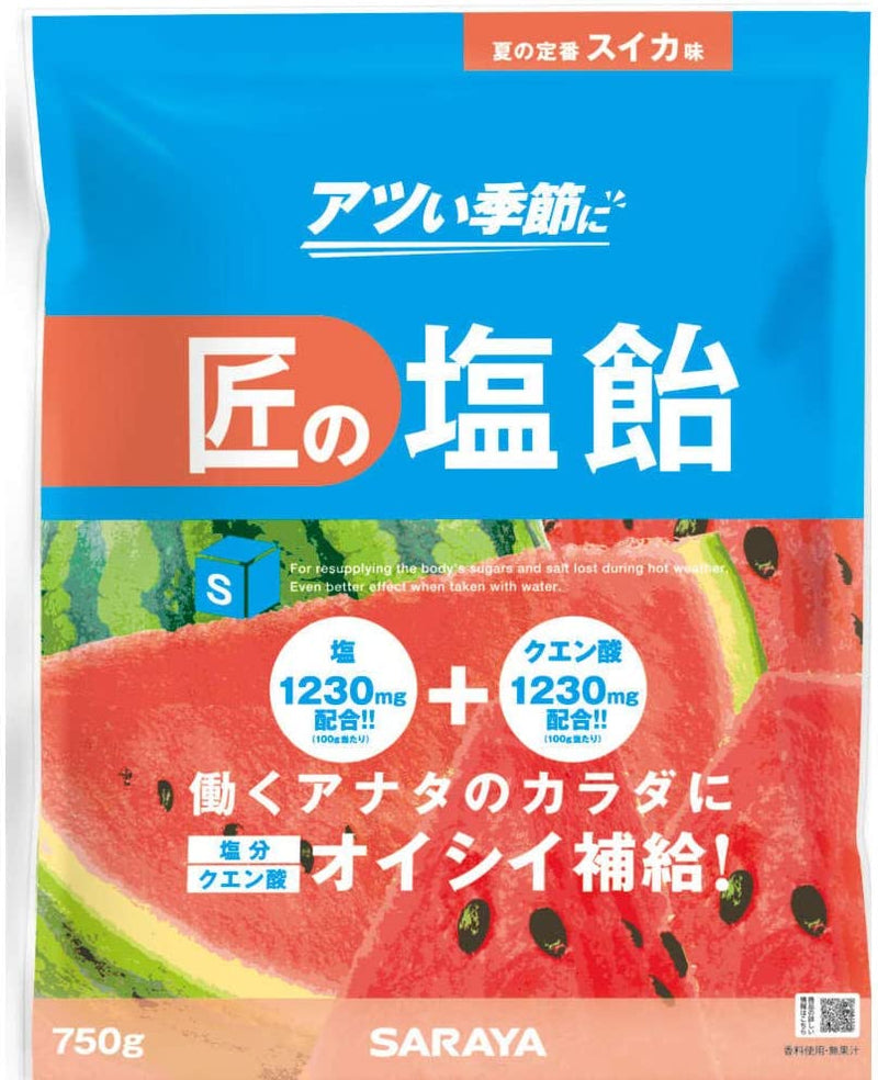 サラヤ ゲインズ匠の塩飴アソート 750g マスカット・レモン・スイカ 27860 10袋セット - 1