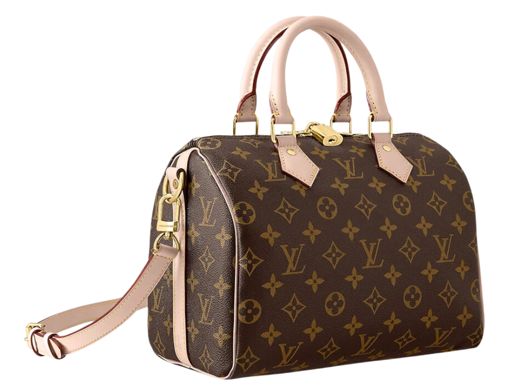 louis vuitton speedy Bandoulière