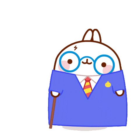 molang harry potter