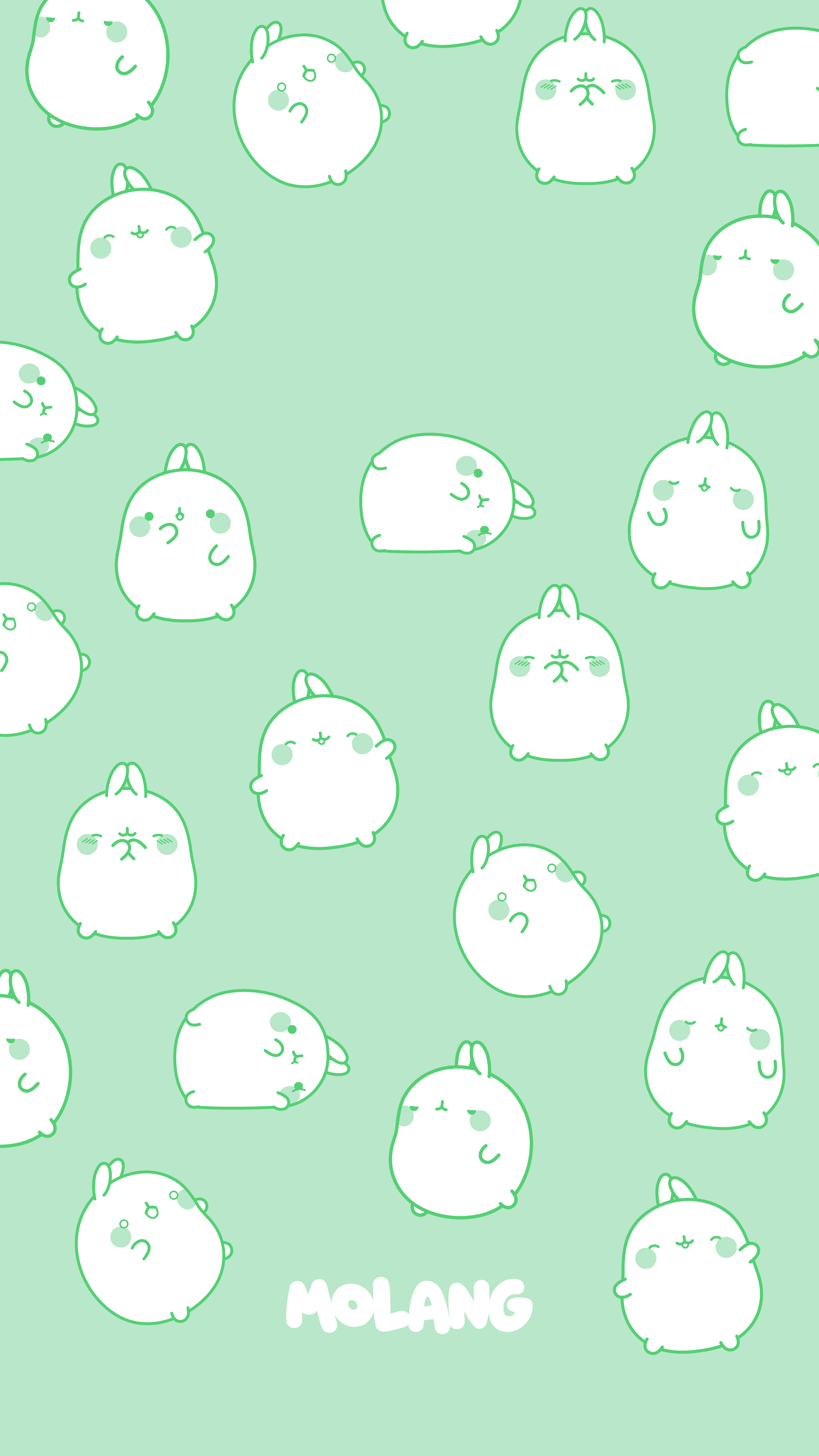 Cutee molang Wallpapers Download  MobCup