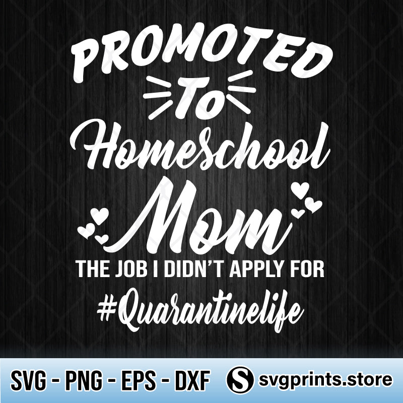 Download Promoted To Homeschool Mom The Job I Didn T Apply For Quarantinedlife