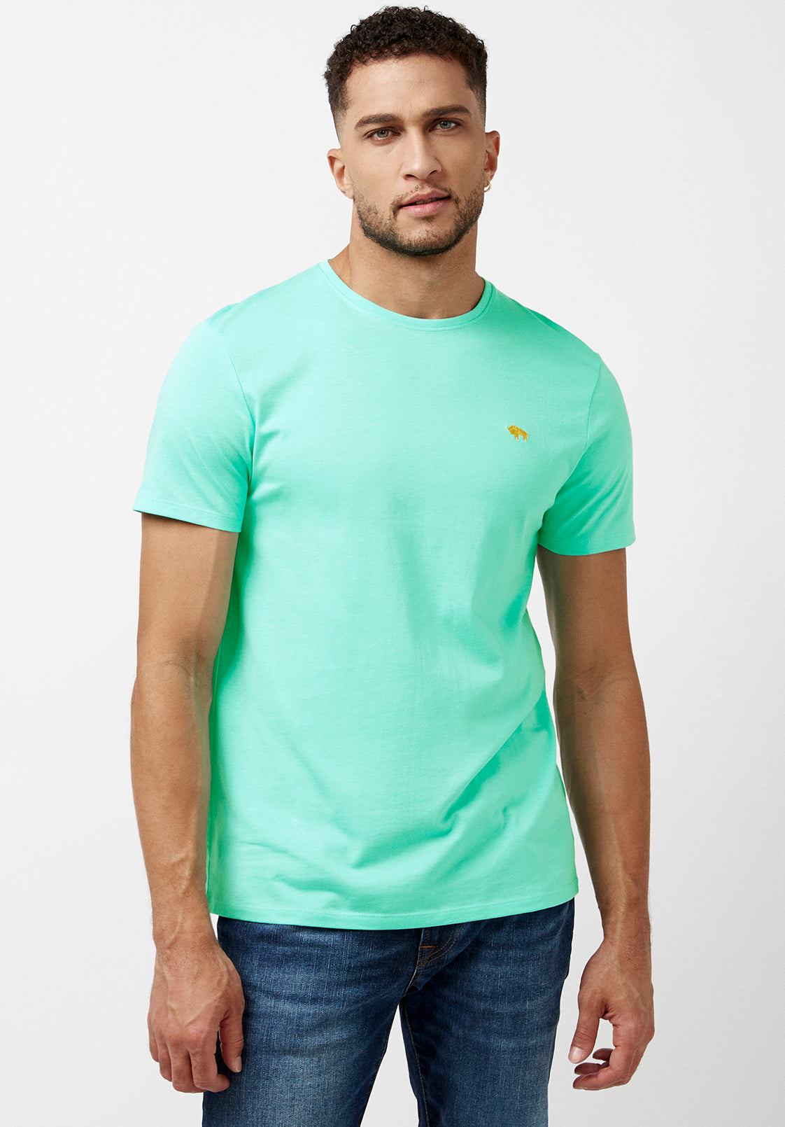 Supima Cotton Tipima Teal T-Shirt - BM23834