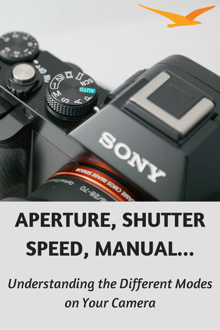 Understanding the Different Modes on Your Camera - Beach Camera Blog