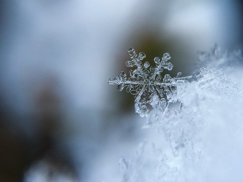 Simple Tips for Snowflake Macro Photography