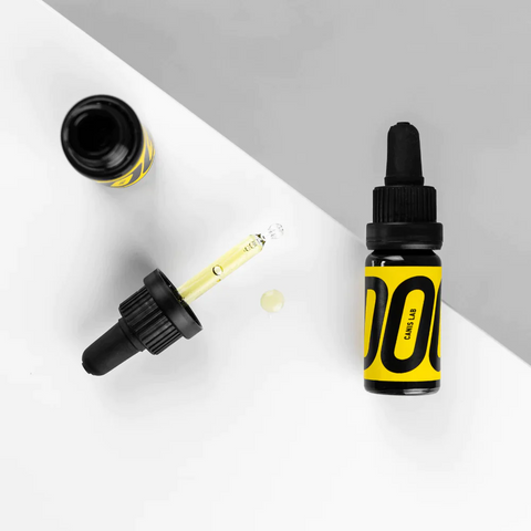 CBD pro psy