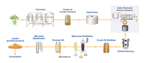 Ethanol Extraction