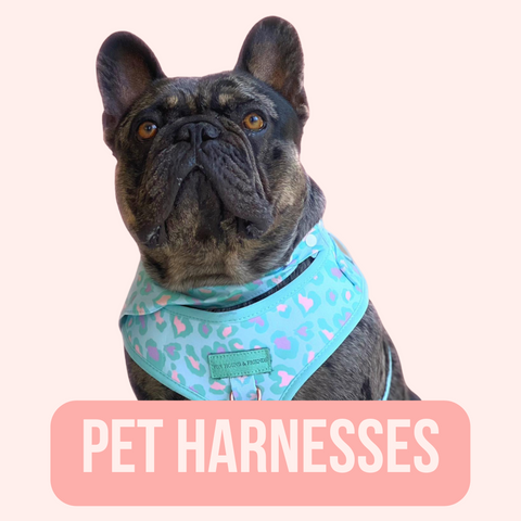 Pet Harnesses that are Adjustable - Von Hound and Friends