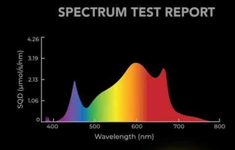 AC Infinity Ionbeam Grow Light Series Unboxing: The Ultimate Lighting  Solution for Thriving Plants! 