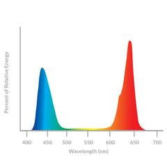 California Lightworks SolarSystem Spectrum