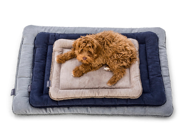 Care Instructions For Dog Beds West Paw